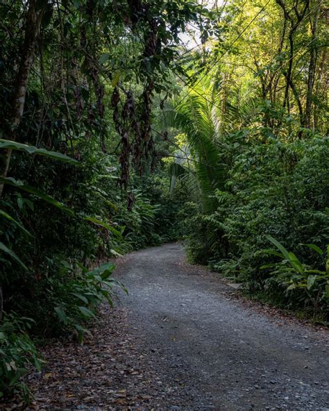 11 Trails for Hiking in Manuel Antonio National Park