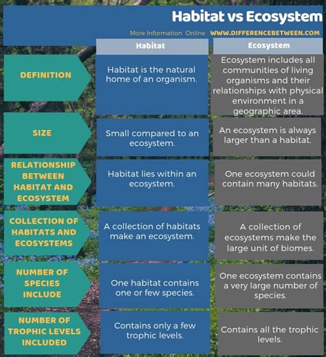 Difference Between Biome And Ecosystem Biome Vs Ecosystem - Bank2home.com