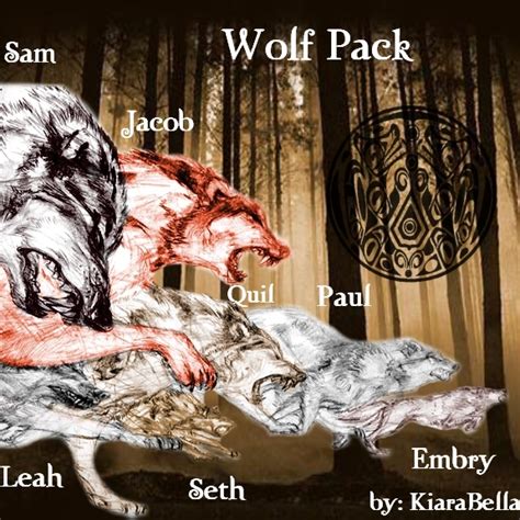 Wolf Pack - Twilight Series Photo (14167989) - Fanpop - Page 6