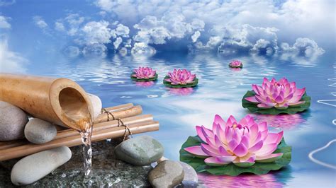 Zen Lotus Wallpapers - Top Free Zen Lotus Backgrounds - WallpaperAccess