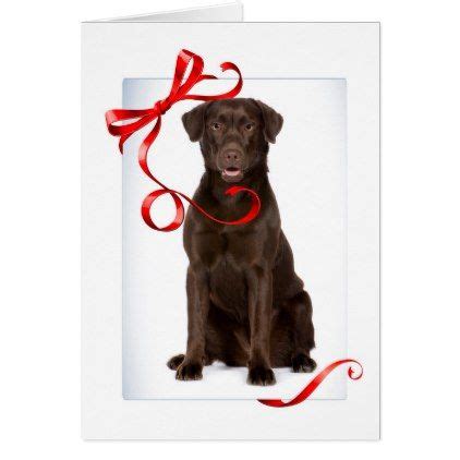 Chocolate Lab Christmas Card | Zazzle