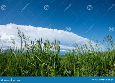 Storm Cloud Formation stock photo. Image of great, scary - 192128974