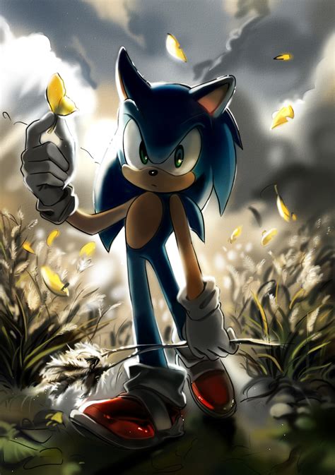 Sonic the Hedgehog Fan Art: autumn | Sonic, Sonic the hedgehog, Sonic heroes