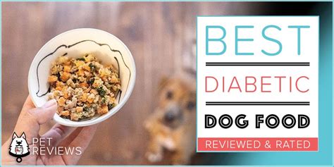 10 Best Diabetic Dog Food Brands (Non-Prescription) in 2024