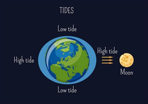 How Do Ocean Tides Work?