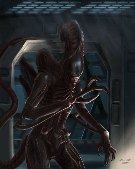 Xenomorph - Alien Fan Art by djvoltz | Xenomorph, Alien artwork, Alien art