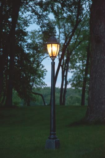 Lamp Post In Forest Stock Photo - Download Image Now - iStock