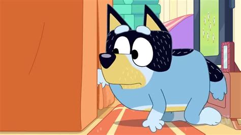 Bluey Season 3 Episode 38 Cubby | Watch cartoons online, Watch anime online, English dub anime