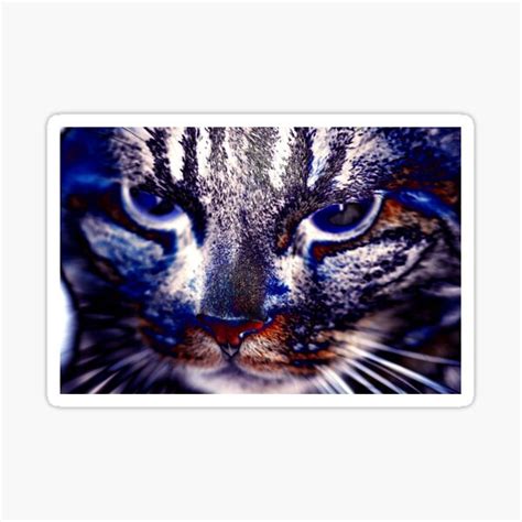 "Serious Cat Face" Sticker by PeeWhistle | Redbubble