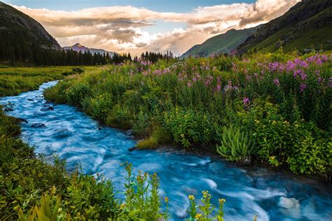 nature, Landscape, River, Trees, Forest, Clouds, Hill, Long Exposure, Colorado, USA, Flowers ...