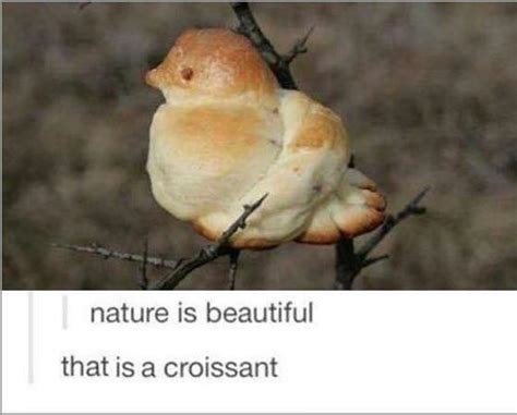 The best Croissant memes :) Memedroid