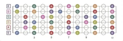 Guitar Neck Diagram – Basic Information and Navigation