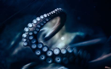 Octopus Wallpapers - Wallpaper Cave