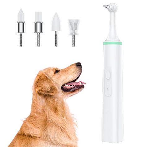 10 Best Dog Teeth Cleaning Products in 2023 (April update)