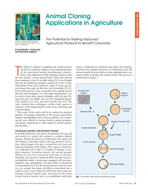 (PDF) Animal cloning applications in agriculture