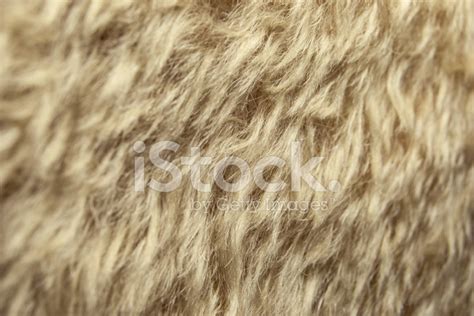 Mohair Texture Stock Photo | Royalty-Free | FreeImages