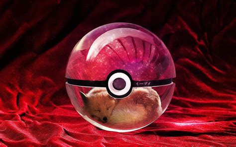 Eevee Pokeball Wallpaper - WallpaperSafari