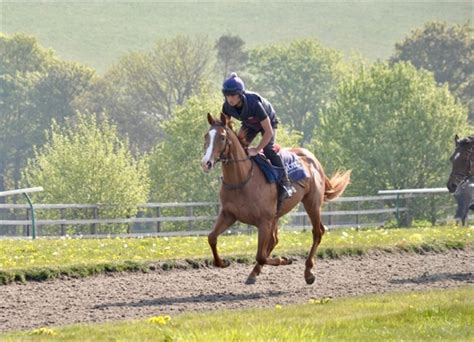 Welcome to Ed Walker Racing | Upper Lambourn