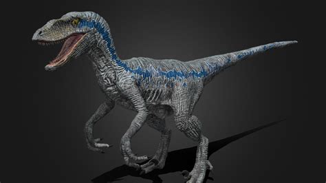 Blue Velociraptor - Download Free 3D model by Cenker Turhan (@cenkerturhan1) [02fa50f] - Sketchfab