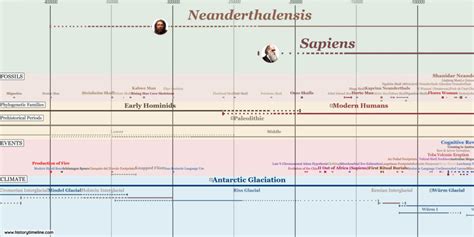 Human Evolution Timeline - HistoryTimeline.com