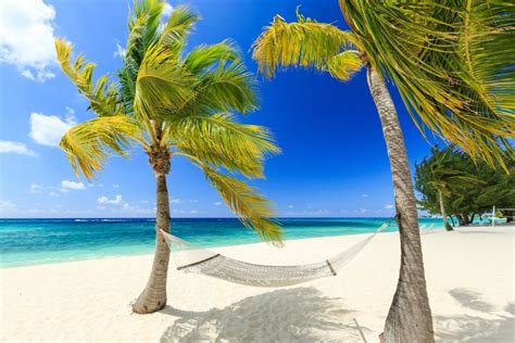 37 Of The Best Beaches In The Caribbean | Celebrity Cruises