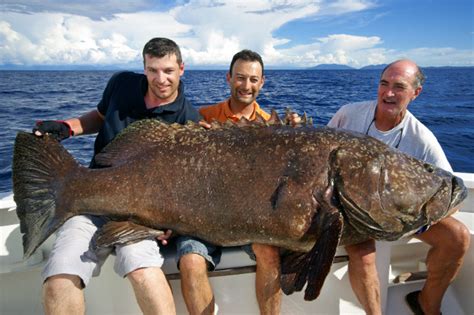 Reel Big Fish: 14 Of The World's Biggest Catches