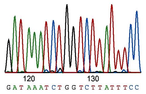 Sanger Sequencing: How The Genome Was Won