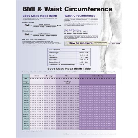 BMI and Waist Circumference