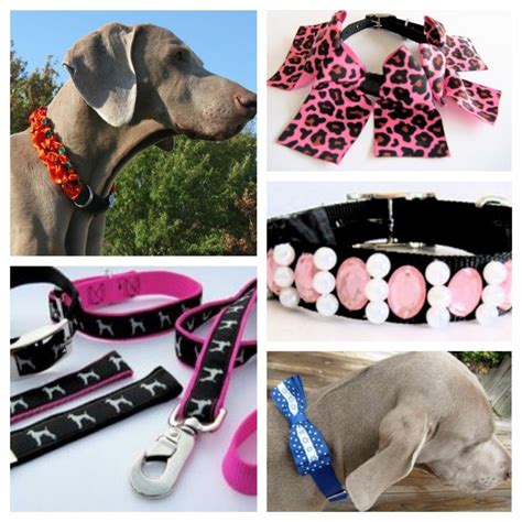 Zamora’s Custom Collars for Dogs and Cats | The Crafty Ninja