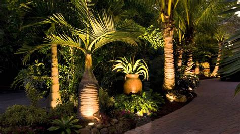 Backyard Landscaping Ideas With Palm Trees | Landscaping