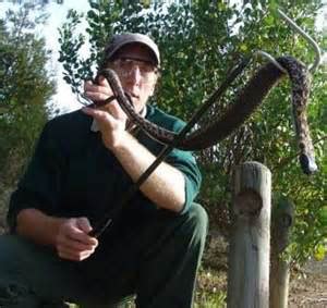 Snake Removal Specialists | Critter Catchers