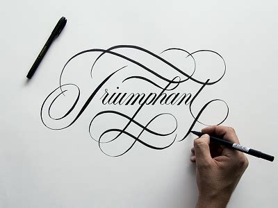 Triumphant designs, themes, templates and downloadable graphic elements on Dribbble