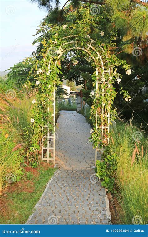 Garden Green Arch Entrance Gate Covered with Green Leaf. Archway To the Park Stock Photo - Image ...