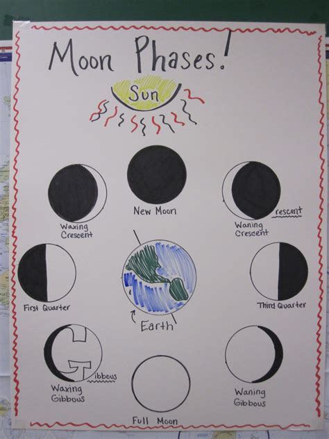 Moon Phases Worksheet 5th Grade | 4th grade science, Moon phases, Homeschool science