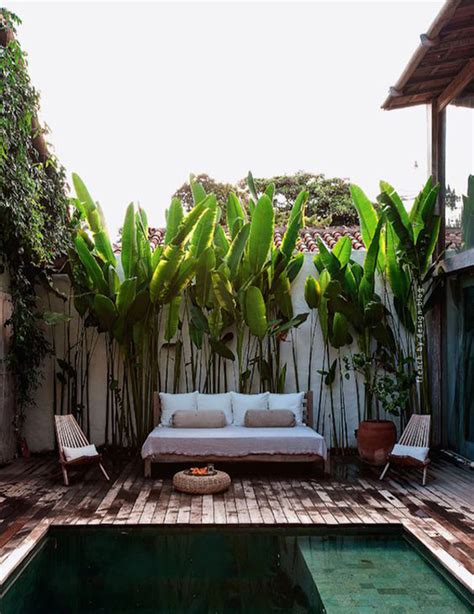 20 Urban Backyard Oasis With Tropical Decor Ideas | HomeMydesign