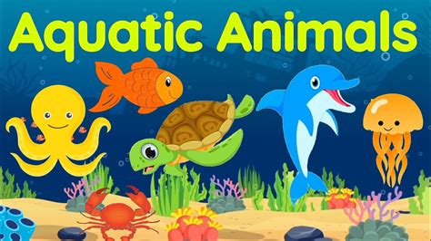 Aquatic animals | Sea animals | Aquatic animals for kids | Sea animals for kids | Water animals ...