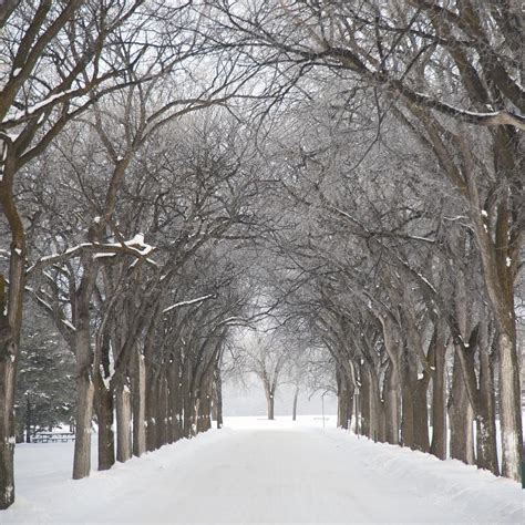 Assiniboine Park, Winnipeg, Manitoba Photograph by Keith Levit