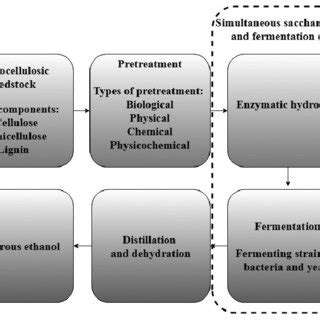 Major steps in bioethanol production | Download Scientific Diagram