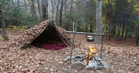 Test Your Survival Instincts: Unveiling Bushcraft Skills - Survival in Nature