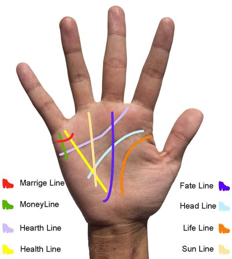 Learn Palm Reading Lines & Read Your Own Palm - Pics Included | Palm reading lines, Palm reading ...