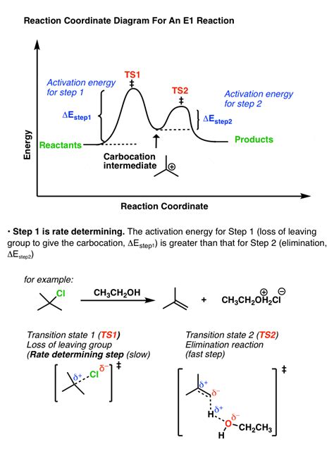 Energy Diagram For E2 Reaction