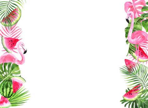 Pink Flamingo Border Images – Browse 3,013 Stock Photos, Vectors, and ...