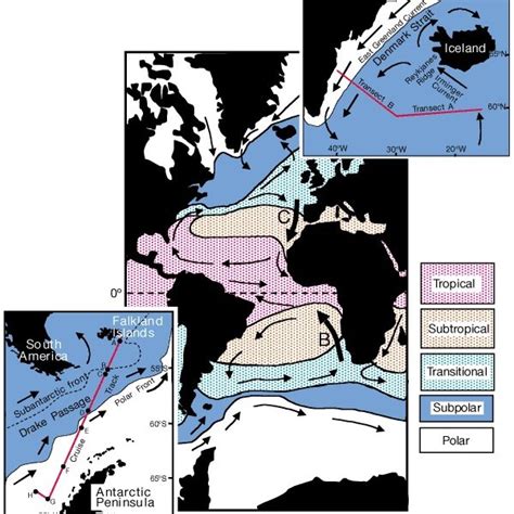 Phylogeny of canid species.The phylogenetic tree is based on 15 kb of... | Download Scientific ...