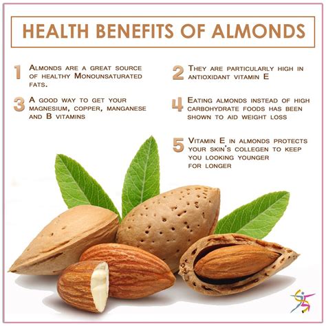 Almond Nuts Nutrition Chart