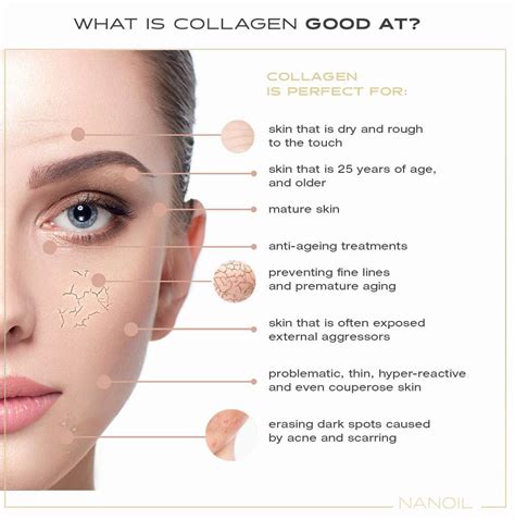 COLLAGEN - The Encyclopedia of Flawless Skin — Blog Nanoil Malta