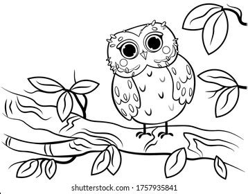 Owl Coloring Photos, Images & Pictures | Shutterstock