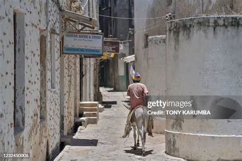 165 Lamu Old Town Stock Photos, High-Res Pictures, and Images - Getty Images