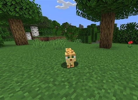 Minecraft Ocelots Wiki - Behavior, Spawn, Breeding, Trivia, FAQs