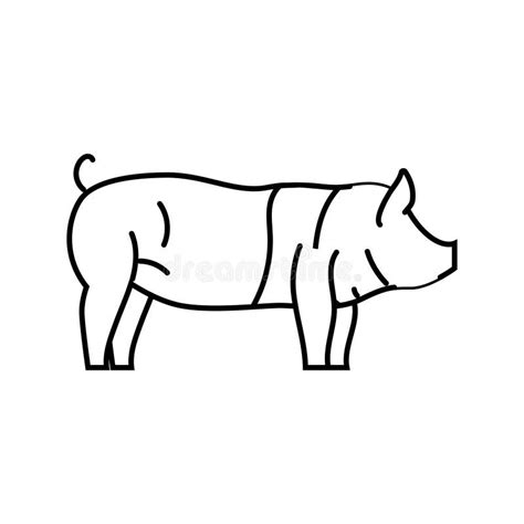 Hampshire Pig Breed Line Icon Vector Illustration Stock Illustration - Illustration of symbol ...