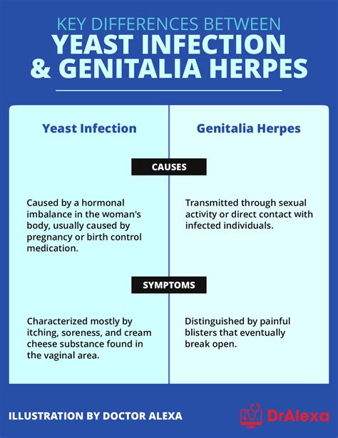 Herpes Vs Yeast Infection